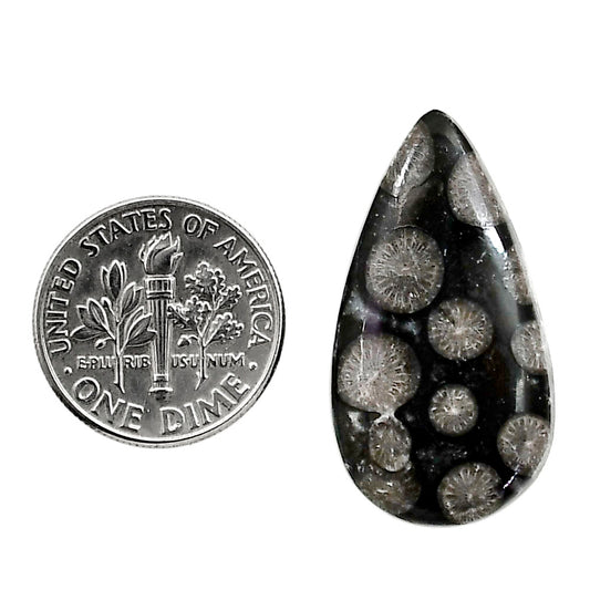 Black Flower Fossil Coral 16x29.55x5.5 mm Pear Shape Polished Gemstone LS82-05013