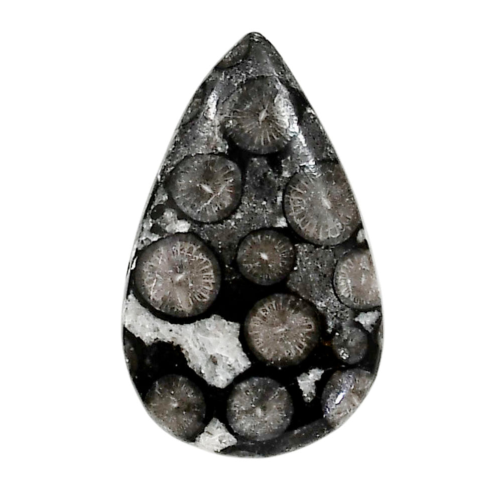 Black Flower Fossil Coral 19.8x31.9x5.5 mm Pear Shape Polished Gemstone LS82-05015