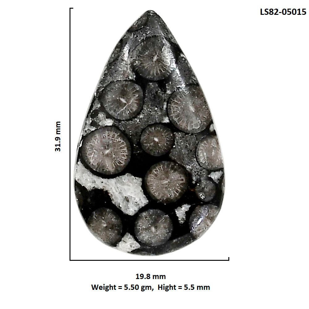 Black Flower Fossil Coral 19.8x31.9x5.5 mm Pear Shape Polished Gemstone LS82-05015
