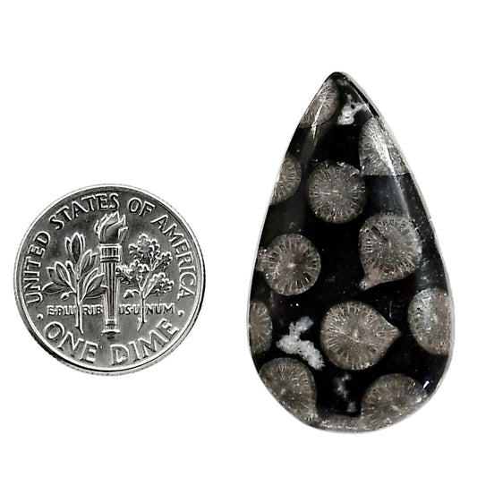 Black Flower Fossil Coral 19.5x33.7x5.3 mm Pear Shape Polished Gemstone LS82-05016
