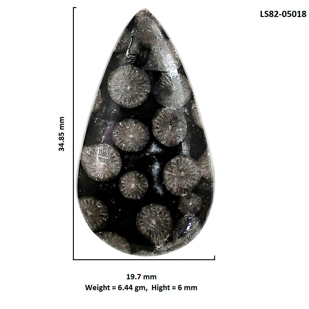 Black Flower Fossil Coral 19.7x34.85x6 mm Pear Shape Polished Gemstone LS82-05018