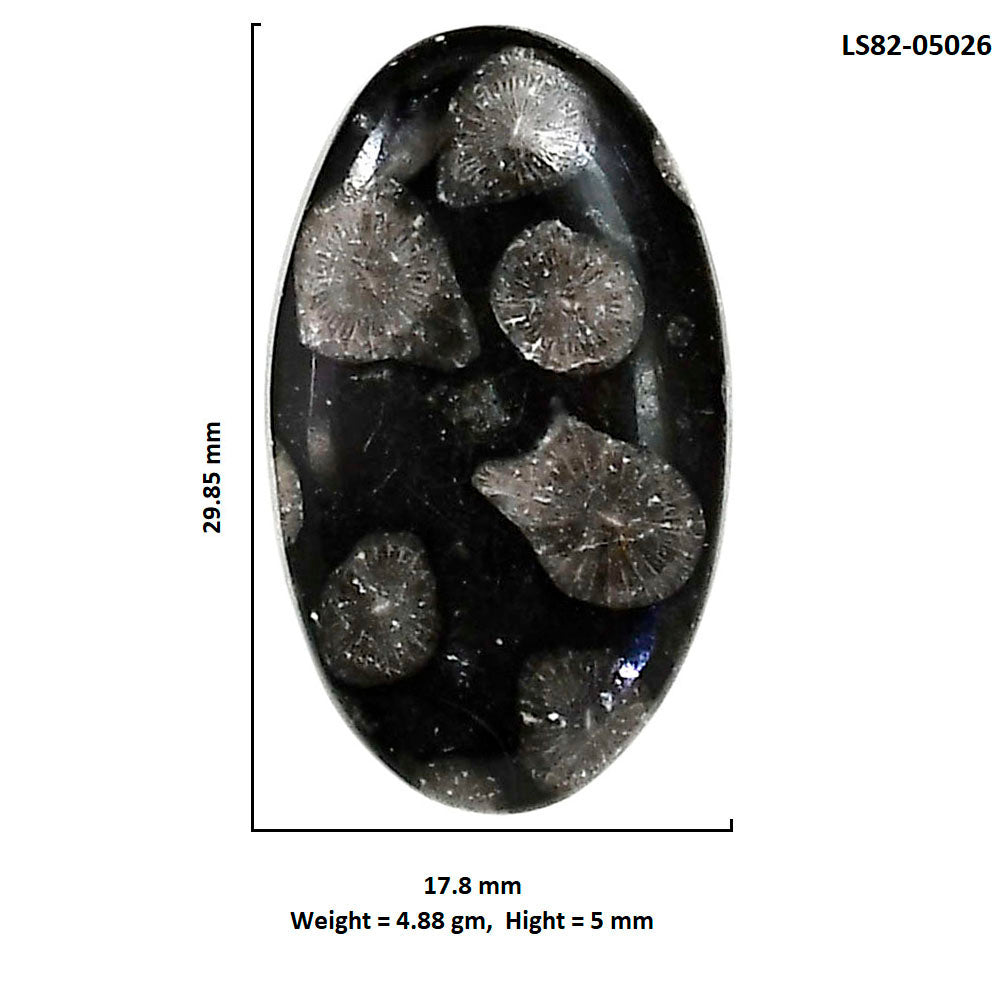 Black Flower Fossil Coral 17.8x29.85x5 mm Oval Shape Polished Gemstone LS82-05026