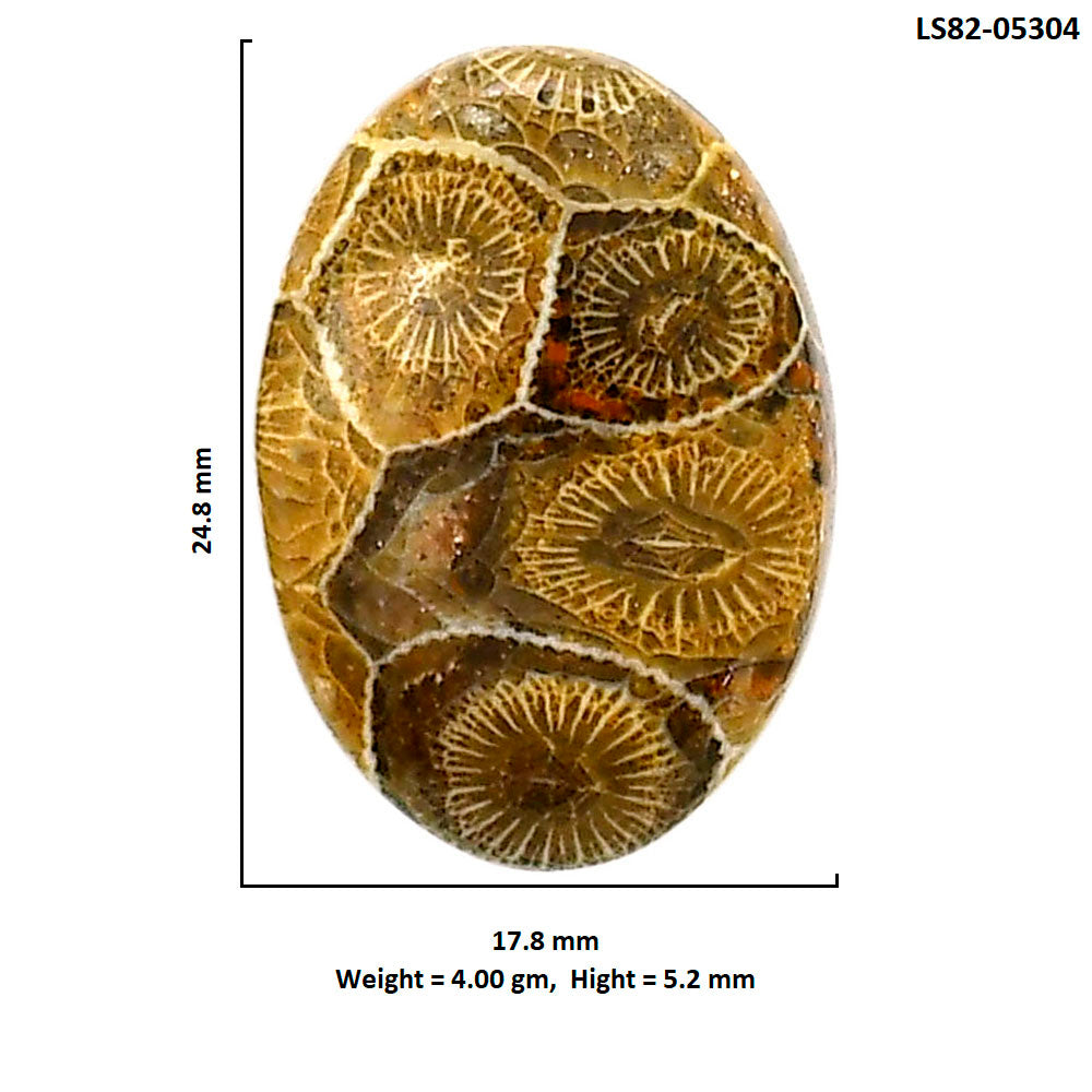 Flower Fossil Coral 17.8x24.8x5.2 mm Oval Shape Polished Gemstone LS82-05304