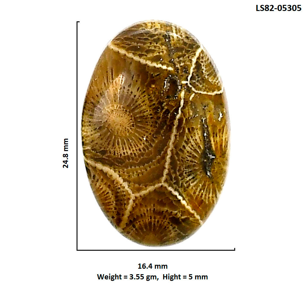 Flower Fossil Coral 16.4x24.8x5 mm Oval Shape Polished Gemstone LS82-05305