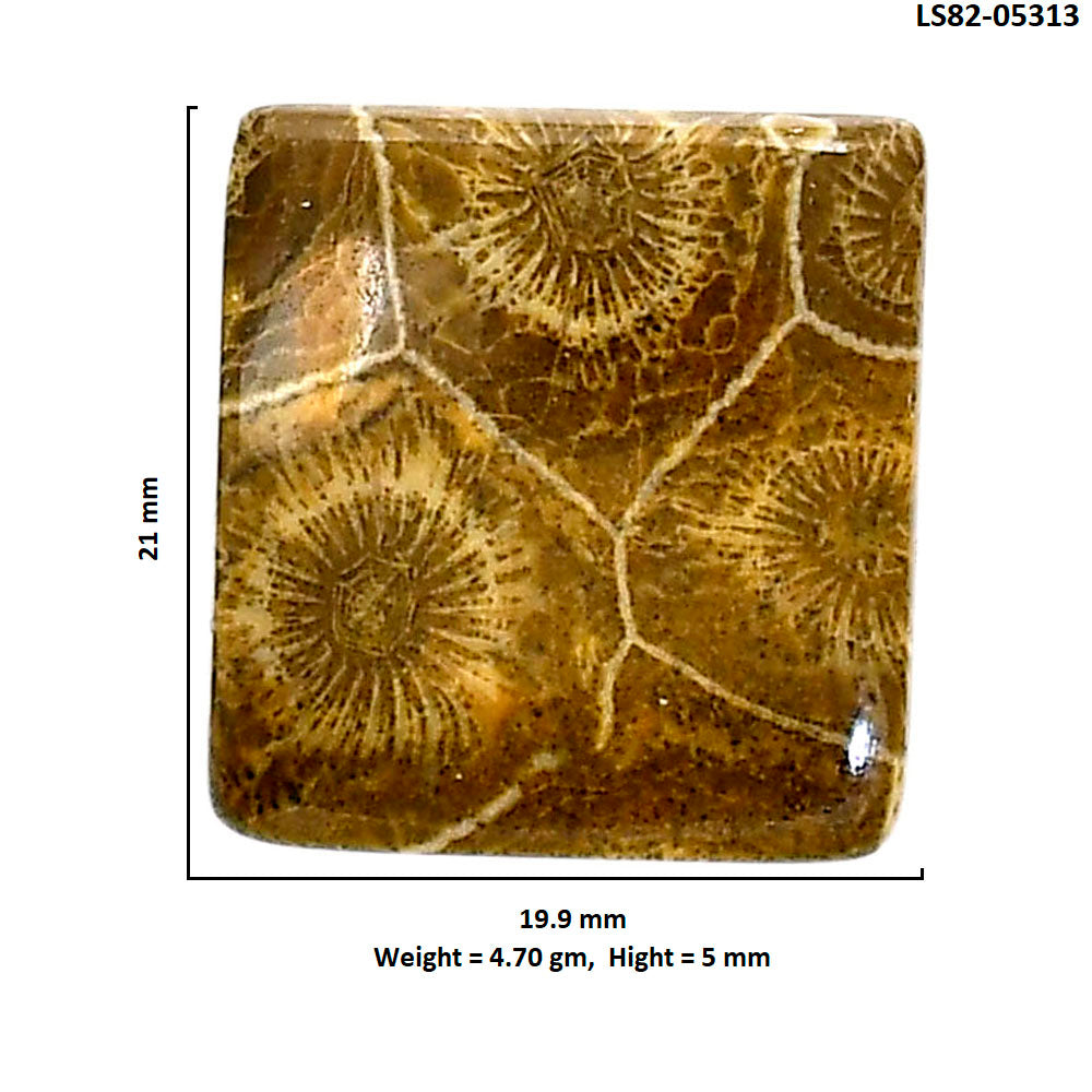 Flower Fossil Coral 19.9x21x5 mm Baguette Shape Polished Gemstone LS82-05313