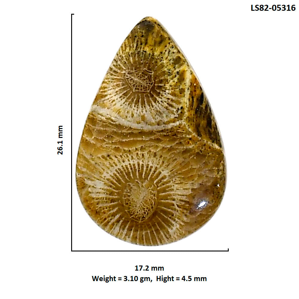 Flower Fossil Coral 17.2x26.1x4.5 mm Pear Shape Polished Gemstone LS82-05316
