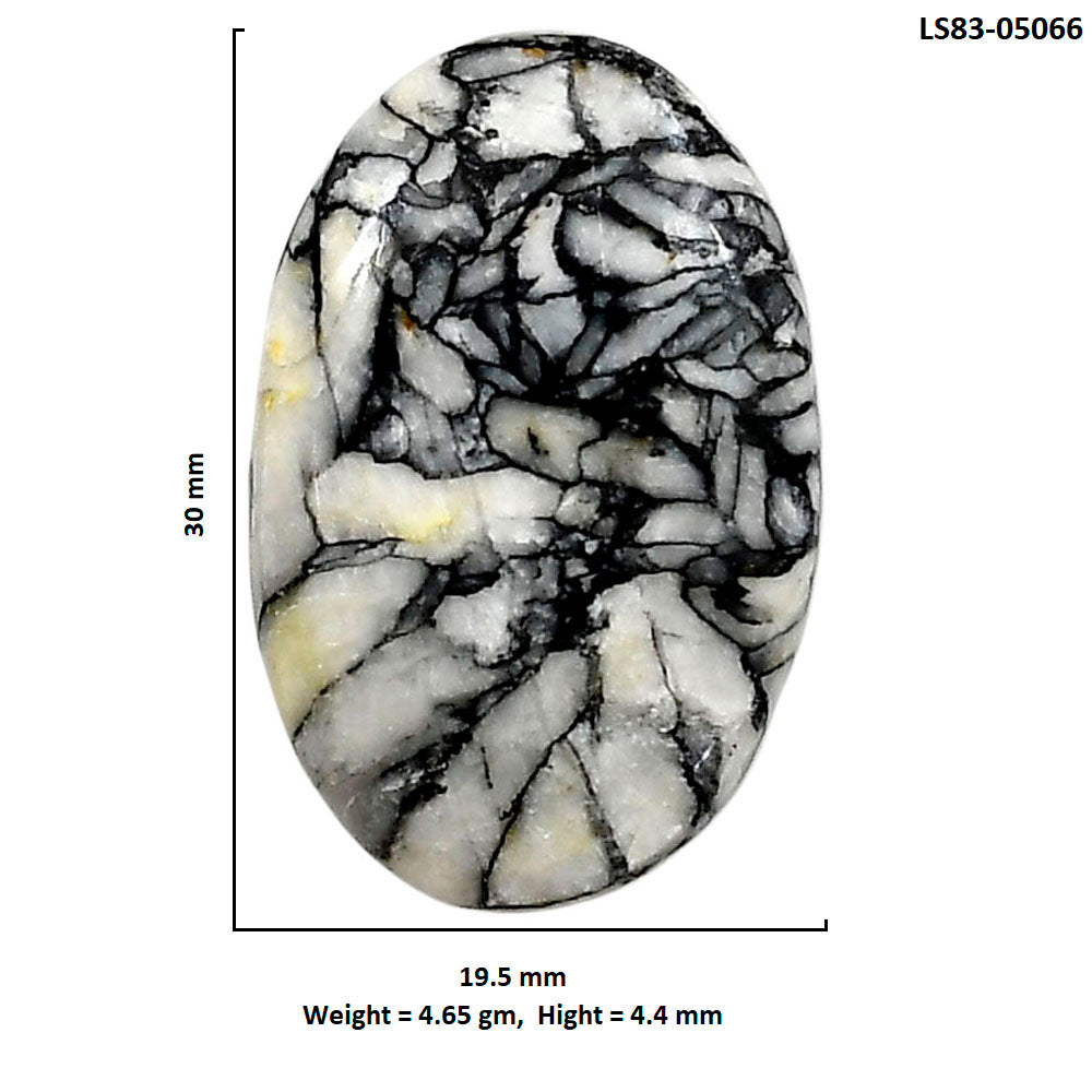Prairie Agate 19.5x30x4.4 mm Oval Shape Polished Gemstone LS83-05066