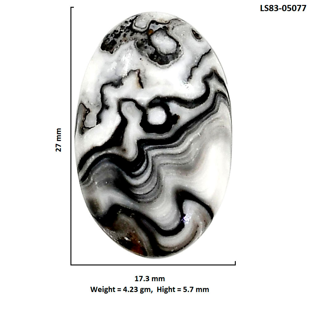 Prairie Agate 17.3x27x5.7 mm Oval Shape Polished Gemstone LS83-05077