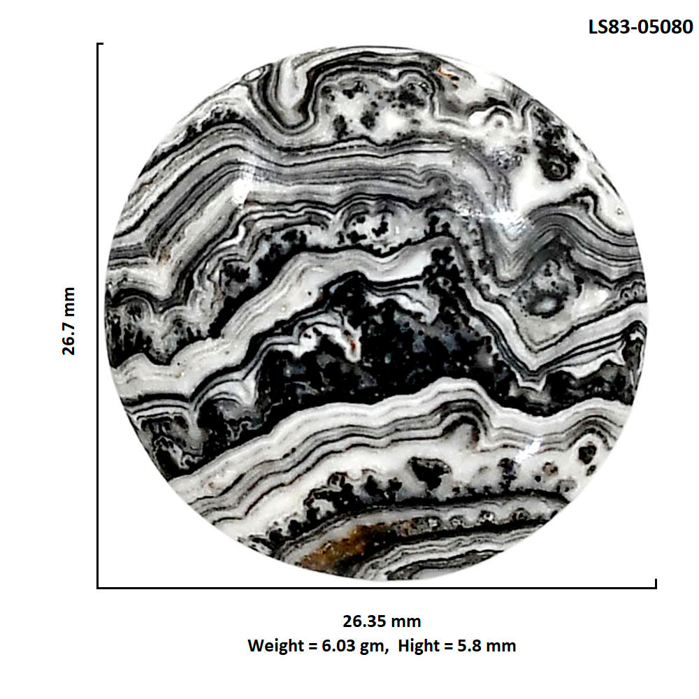 Prairie Agate 26.35x26.7x5.8 mm Round Shape Polished Gemstone LS83-05080