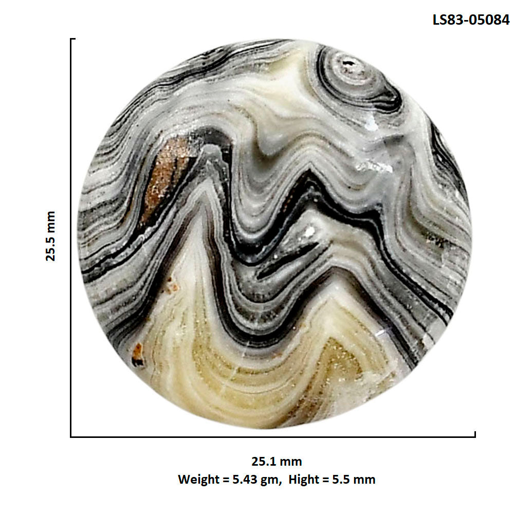Prairie Agate 25.1x25.5x5.5 mm Round Shape Polished Gemstone LS83-05084