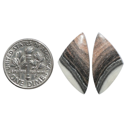 Prairie Agate Pair 11.1x21.6x4 mm Fancy Shape Polished Gemstone LS83-07583