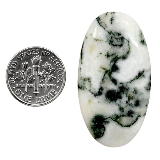 Tree Weed Moss Agate 21.8x40x5 mm Oval Shape Polished Gemstone LS84-05102