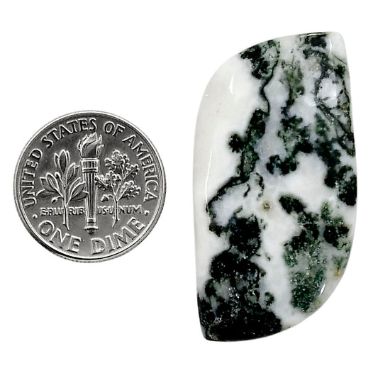 Tree Weed Moss Agate 19.3x39x5 mm Fancy Shape Polished Gemstone LS84-05114