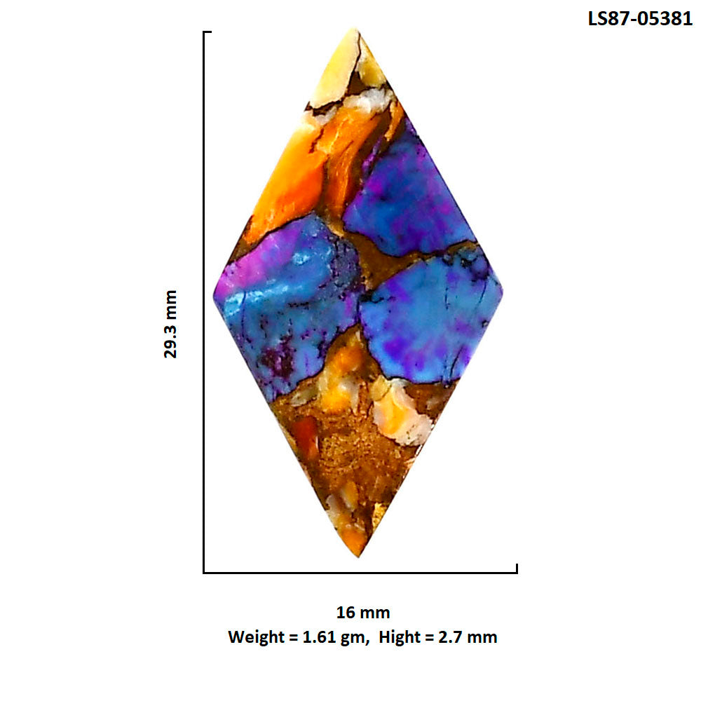Spiny Oyster Turquoise 16x29.3x2.7 mm Fancy Shape Polished Gemstone LS87-05381