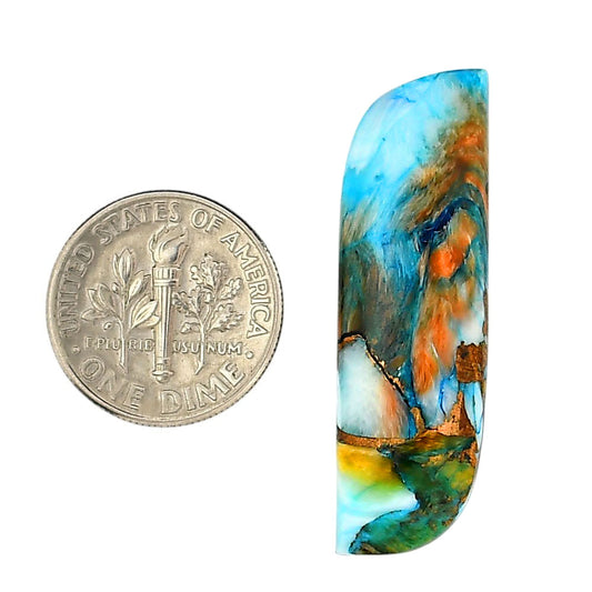 Spiny Oyster Turquoise 11.3x38x3 mm Fancy Shape Polished Gemstone LS87-06268