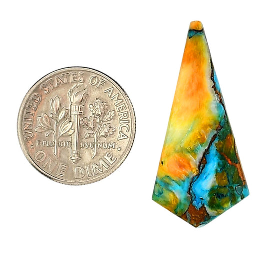 Spiny Oyster Turquoise 14.2x31x3 mm Fancy Shape Polished Gemstone LS87-06274