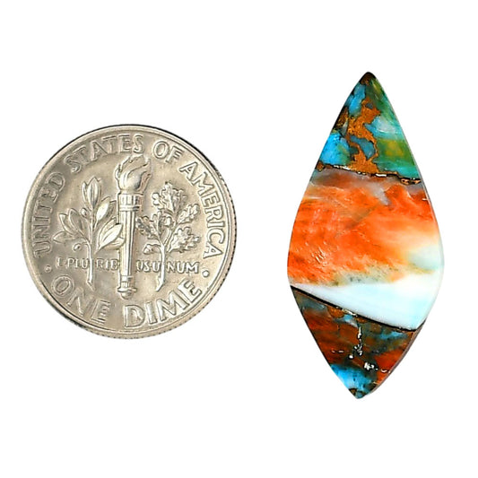 Spiny Oyster Turquoise 13.1x27.2x3.4 mm Fancy Shape Polished Gemstone LS87-06276