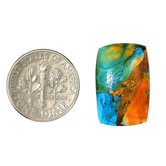 Spiny Oyster Turquoise 13.3x20.15x4 mm Cushion Shape Polished Gemstone LS87-06278