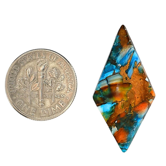 Spiny Oyster Turquoise 15.5x31.5x3.5 mm Fancy Shape Polished Gemstone LS87-06280