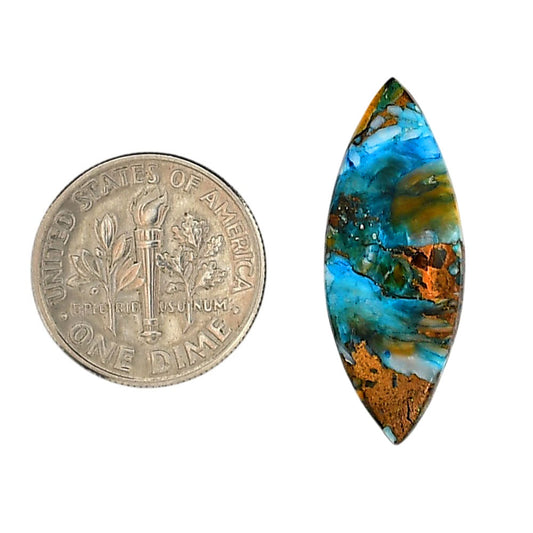 Spiny Oyster Turquoise 10.6x27.8x3.5 mm Marquise Shape Polished Gemstone LS87-06281