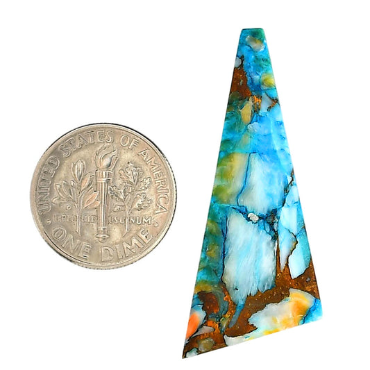 Spiny Oyster Turquoise 16x41x3 mm Fancy Shape Polished Gemstone LS87-06282