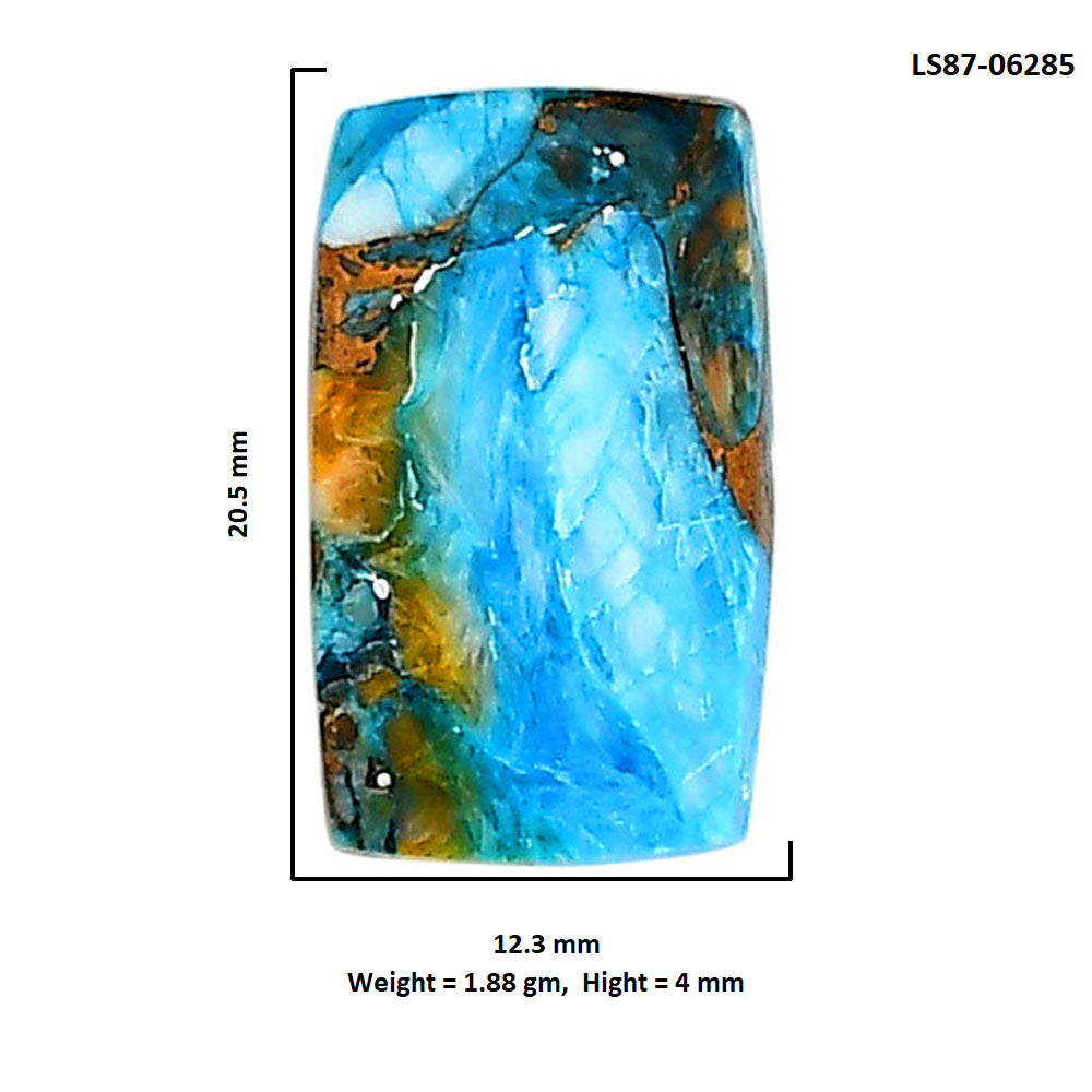 Spiny Oyster Turquoise 12.3x20.5x4 mm Cushion Shape Polished Gemstone LS87-06285