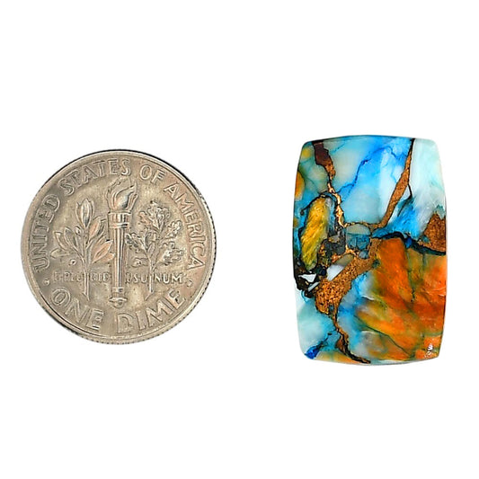 Spiny Oyster Turquoise 14x21x3 mm Cushion Shape Polished Gemstone LS87-06288