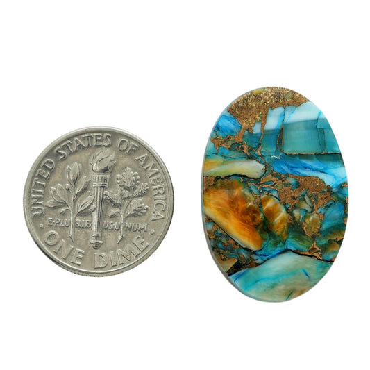 Spiny Oyster Turquoise 17.5x25.65x5 mm Oval Shape Polished Gemstone LS87-06769