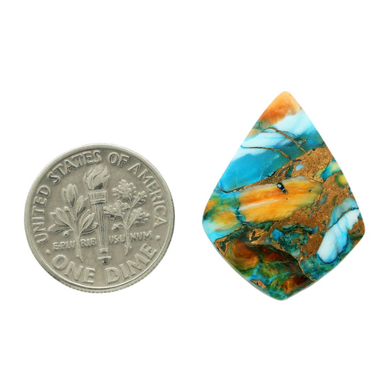 Spiny Oyster Turquoise 19.5x25.2x4.2 mm Fancy Shape Polished Gemstone LS87-06782