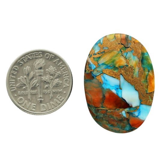 Spiny Oyster Turquoise 19.15x27x5 mm Oval Shape Polished Gemstone LS87-06784
