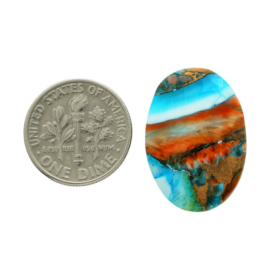 Spiny Oyster Turquoise 16.9x23.85x4 mm Oval Shape Polished Gemstone LS87-06796