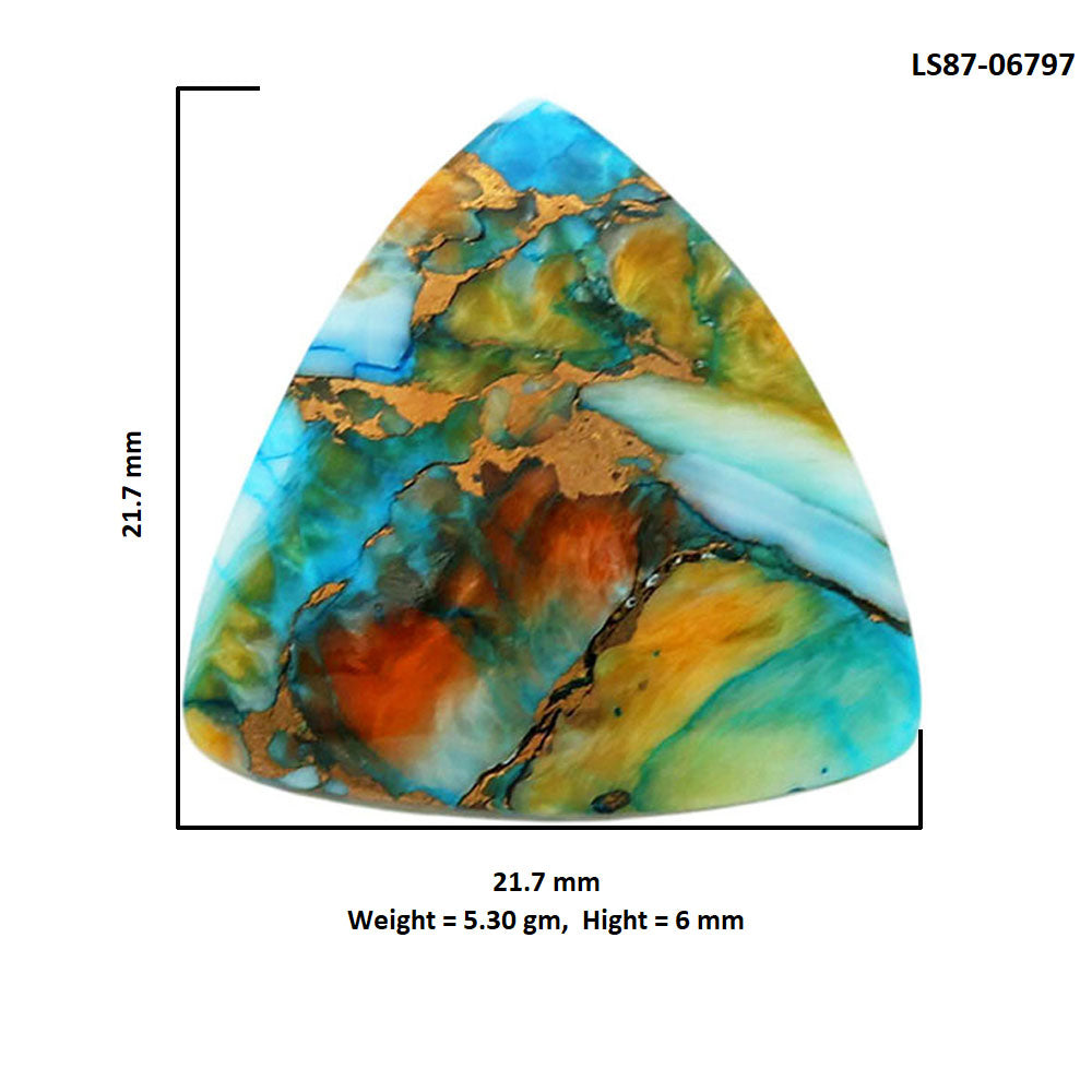 Spiny Oyster Turquoise 21.7x21.7x6 mm Fancy Shape Polished Gemstone LS87-06797