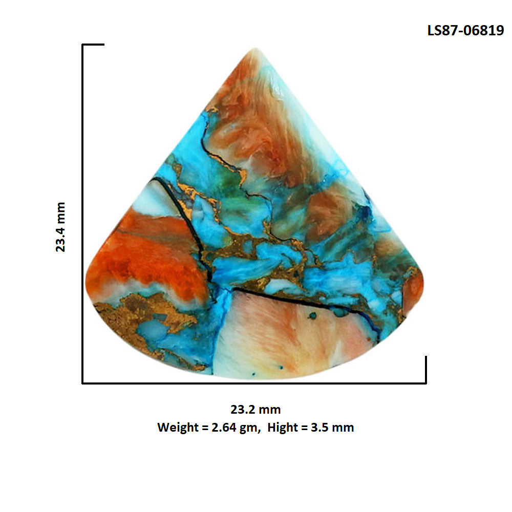 Spiny Oyster Turquoise 23.2x23.4x3.5 mm Fancy Shape Polished Gemstone LS87-06819
