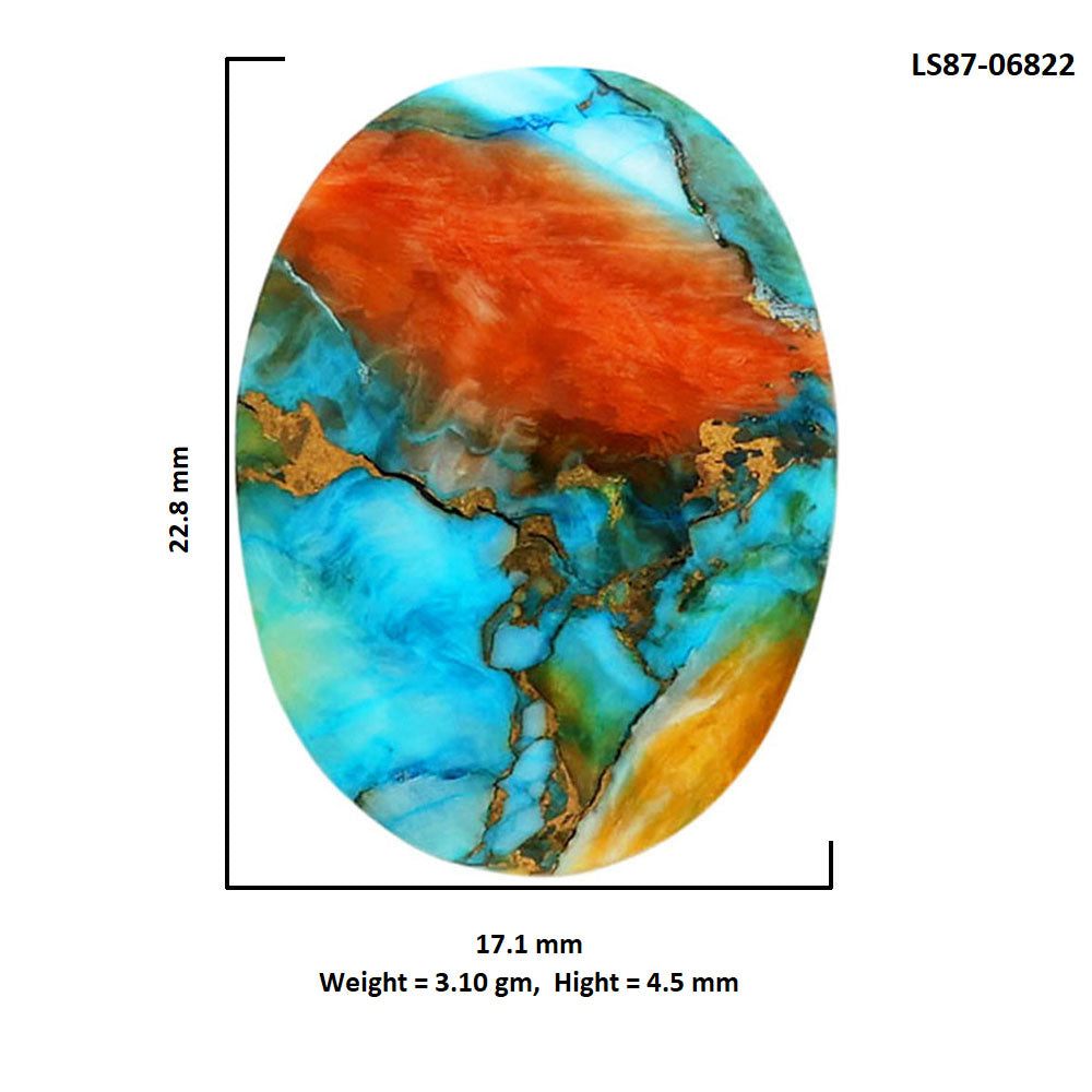 Spiny Oyster Turquoise 17.1x22.8x4.5 mm Oval Shape Polished Gemstone LS87-06822