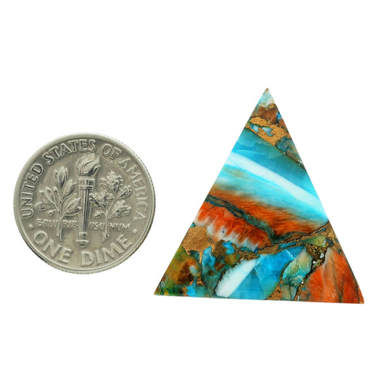 Spiny Oyster Turquoise 26.45x26.75x4.3 mm Fancy Shape Polished Gemstone LS87-06825