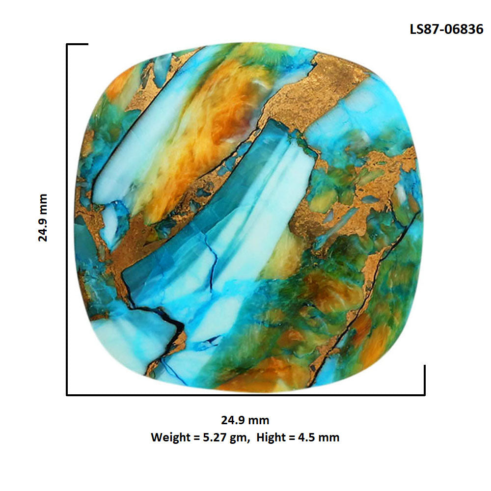Spiny Oyster Turquoise 24.9x24.9x4.5 mm Cushion Shape Polished Gemstone LS87-06836