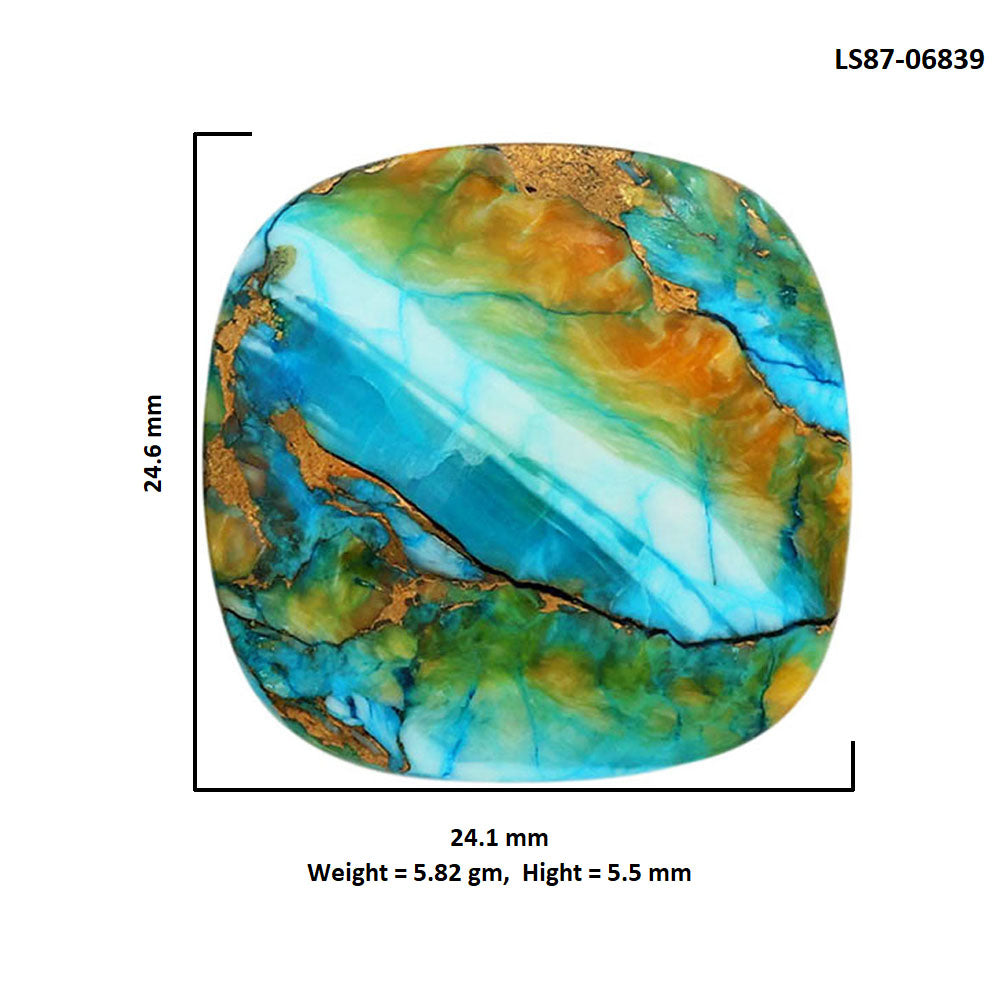 Spiny Oyster Turquoise 24.1x24.6x5.5 mm Cushion Shape Polished Gemstone LS87-06839