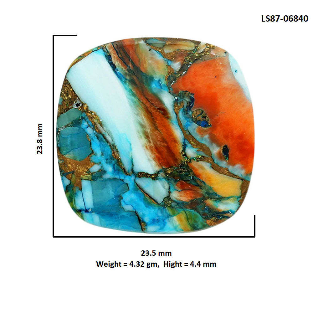 Spiny Oyster Turquoise 23.5x23.8x4.4 mm Cushion Shape Polished Gemstone LS87-06840