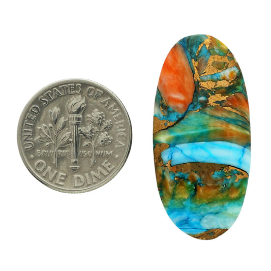 Spiny Oyster Turquoise 15.5x31.65x5.5 mm Oval Shape Polished Gemstone LS87-06846