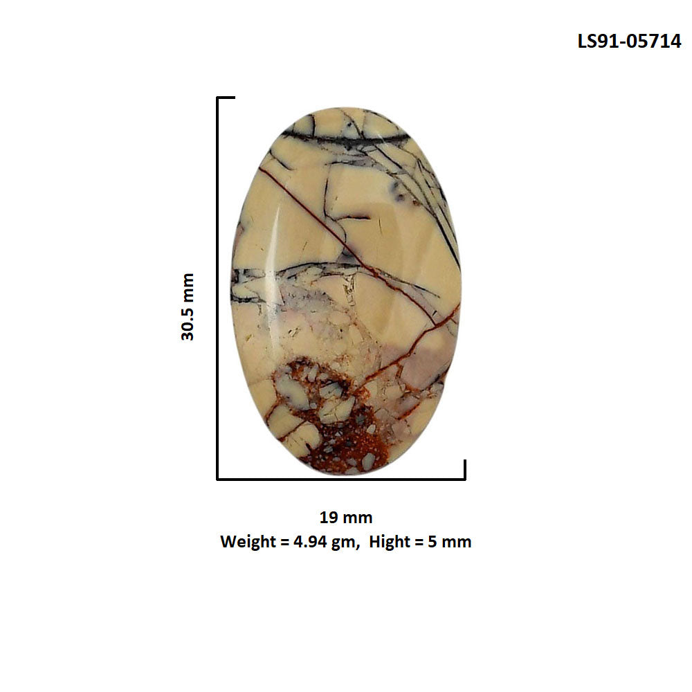 Porcelain Jasper 19x30.5x5 mm Oval Shape Polished Gemstone LS91-05714
