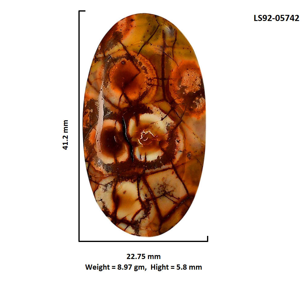 Mexican Bird Eye 22.75x41.2x5.8 mm Oval Shape Polished Gemstone LS92-05742