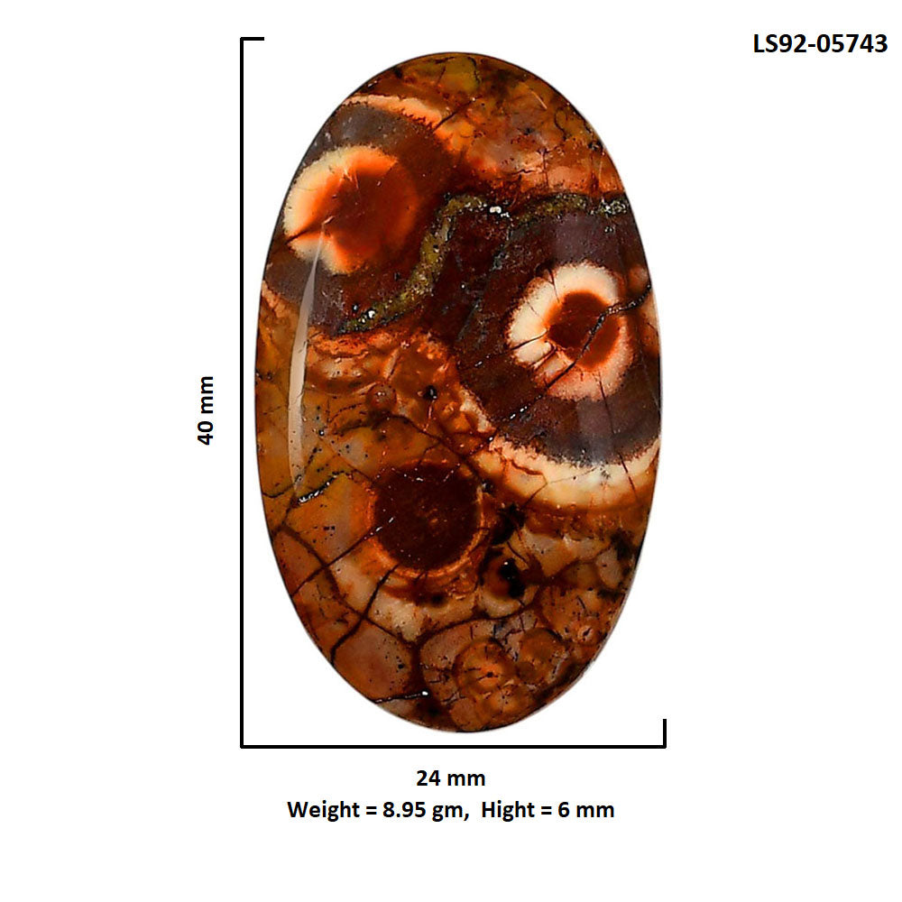 Mexican Bird Eye 24x40x6 mm Oval Shape Polished Gemstone LS92-05743