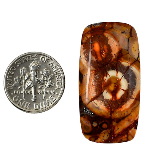 Mexican Bird Eye 17.8x35x6 mm Baguette Shape Polished Gemstone LS92-05744