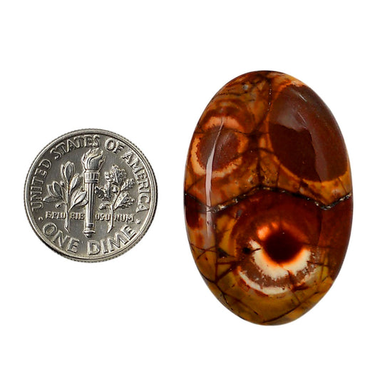 Mexican Bird Eye 22.65x33.9x5.6 mm Oval Shape Polished Gemstone LS92-05748