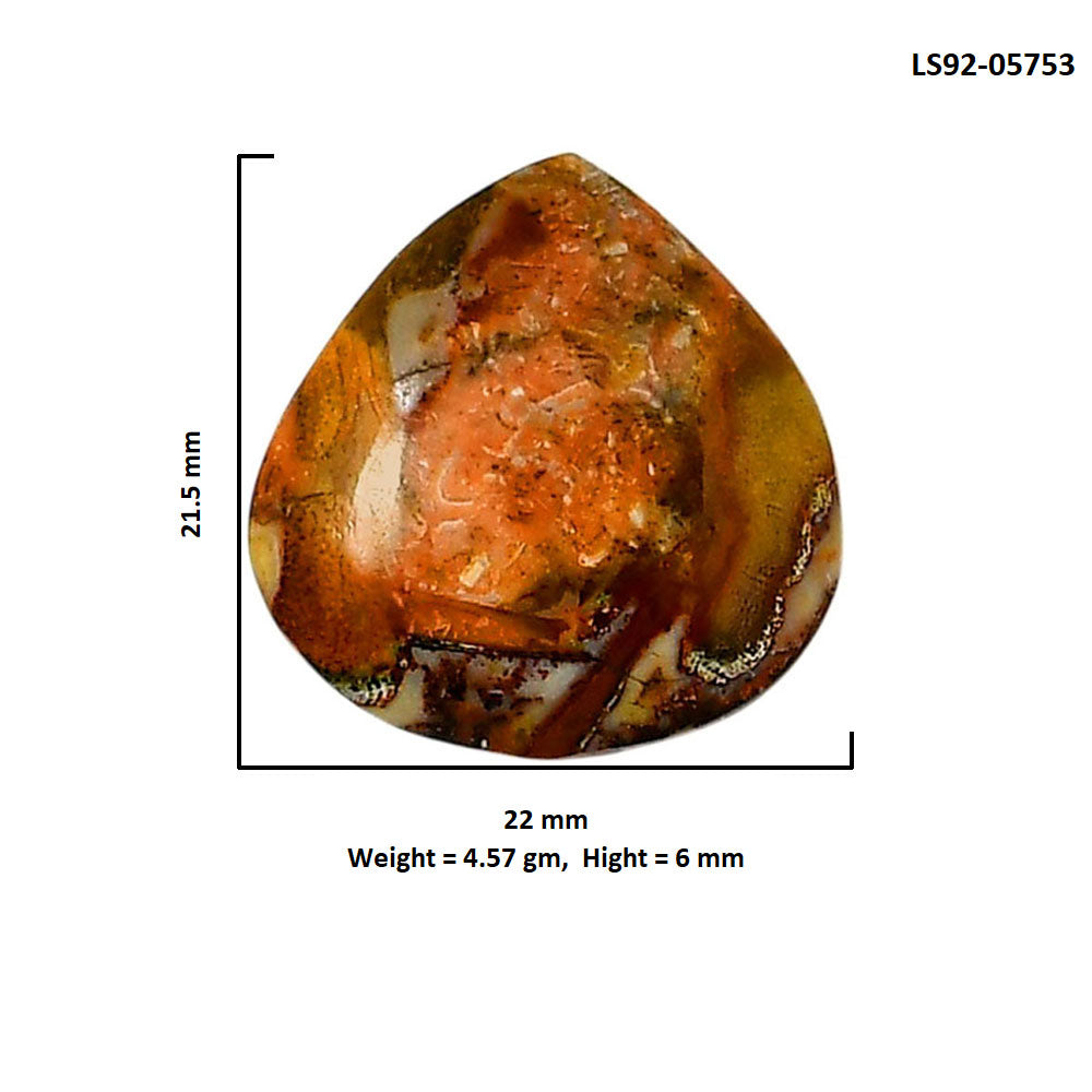 Mexican Bird Eye 22x21.5x6 mm Heart Shape Polished Gemstone LS92-05753