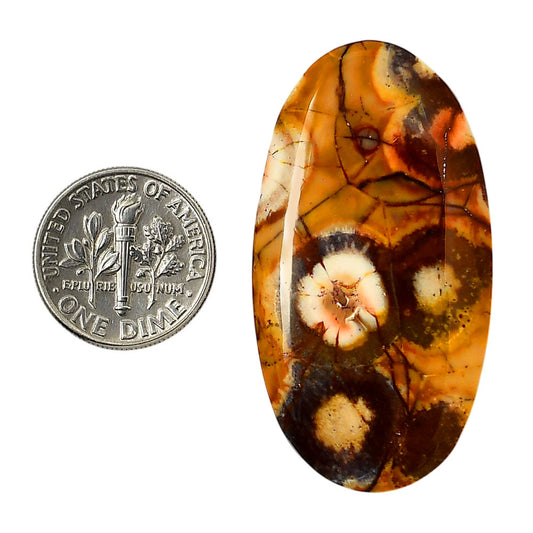 Mexican Bird Eye 23.3x43.75x5.5 mm Oval Shape Polished Gemstone LS92-05754
