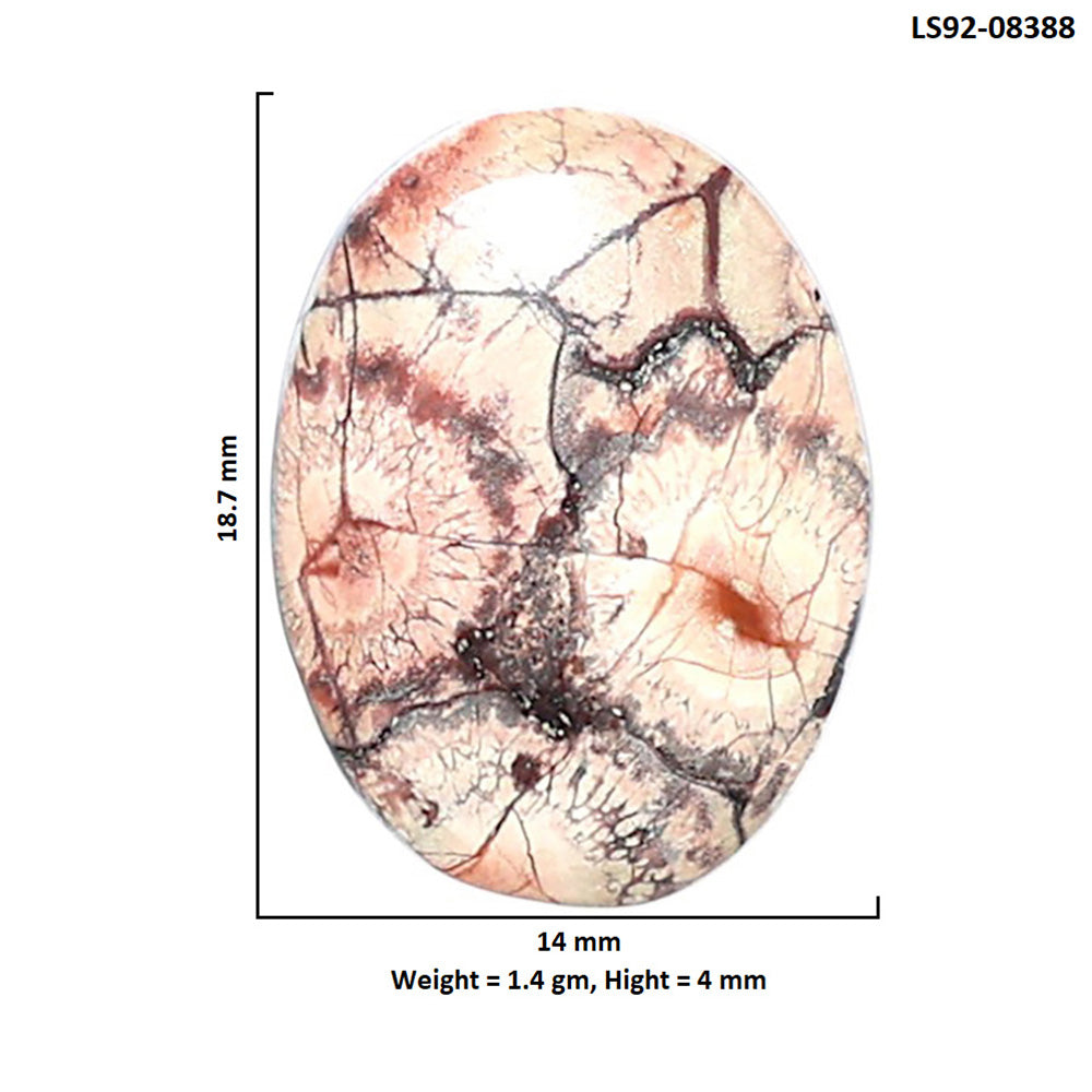 Mexican Bird Eye 14x18.7x4 mm Oval Shape Polished Gemstone LS92-08388
