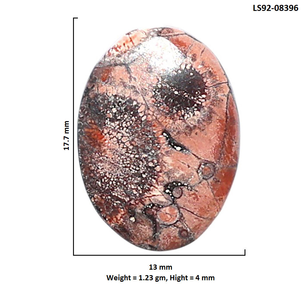 Mexican Bird Eye 13x17.7x4 mm Oval Shape Polished Gemstone LS92-08396