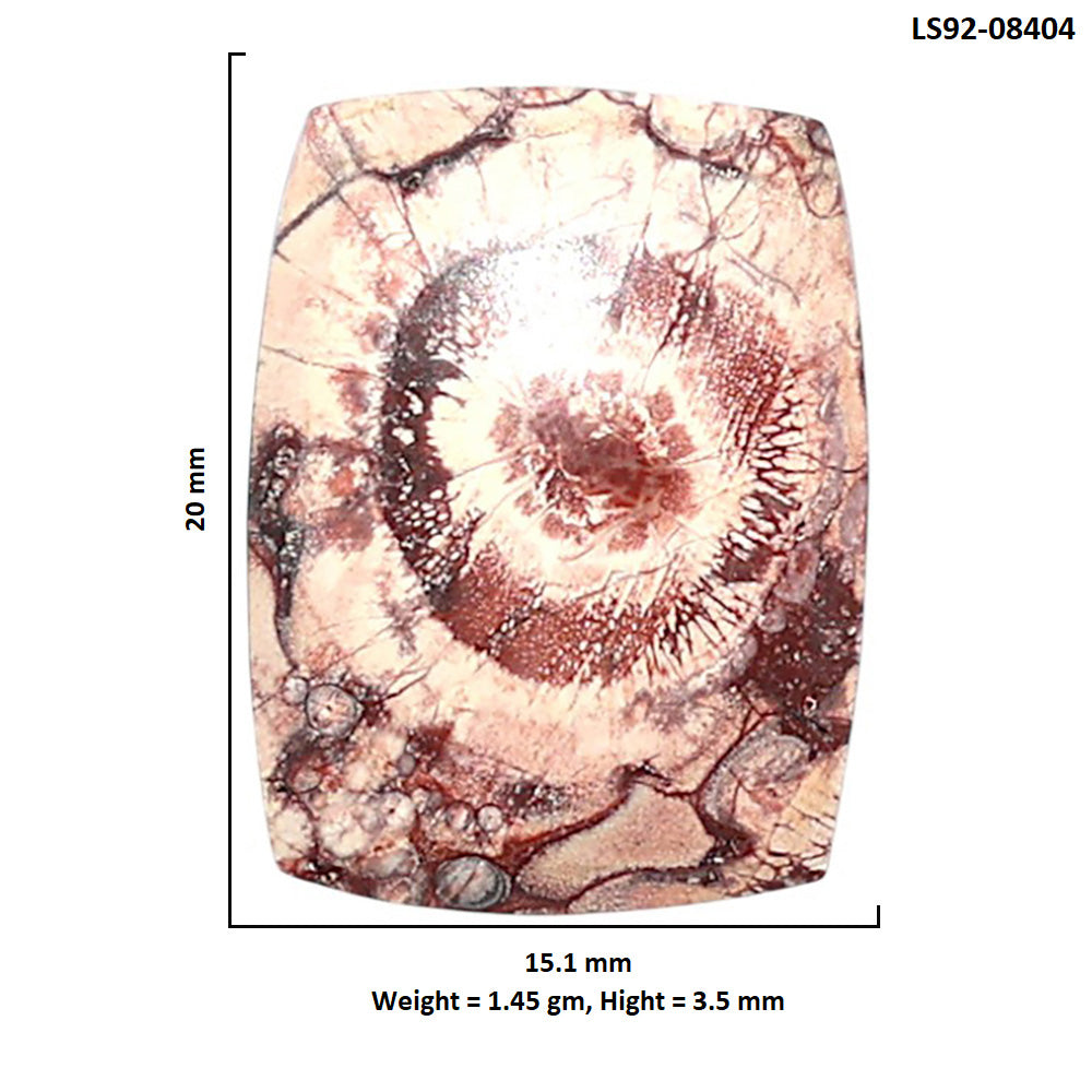 Mexican Bird Eye 15.1x20x3.5 mm Cushion Shape Polished Gemstone LS92-08404