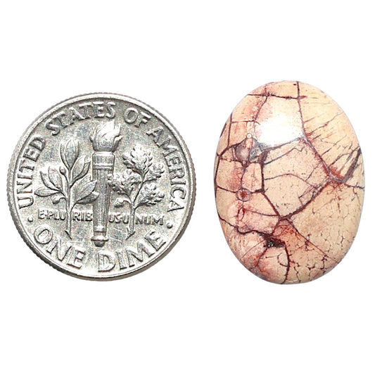 Mexican Bird Eye 14.2x19.1x4 mm Oval Shape Polished Gemstone LS92-08407